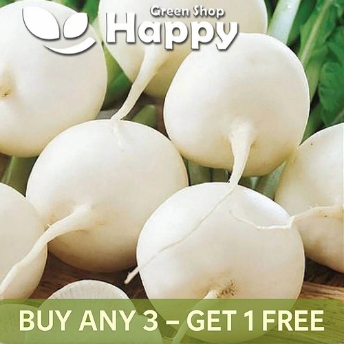White radish whitney 600 - -,